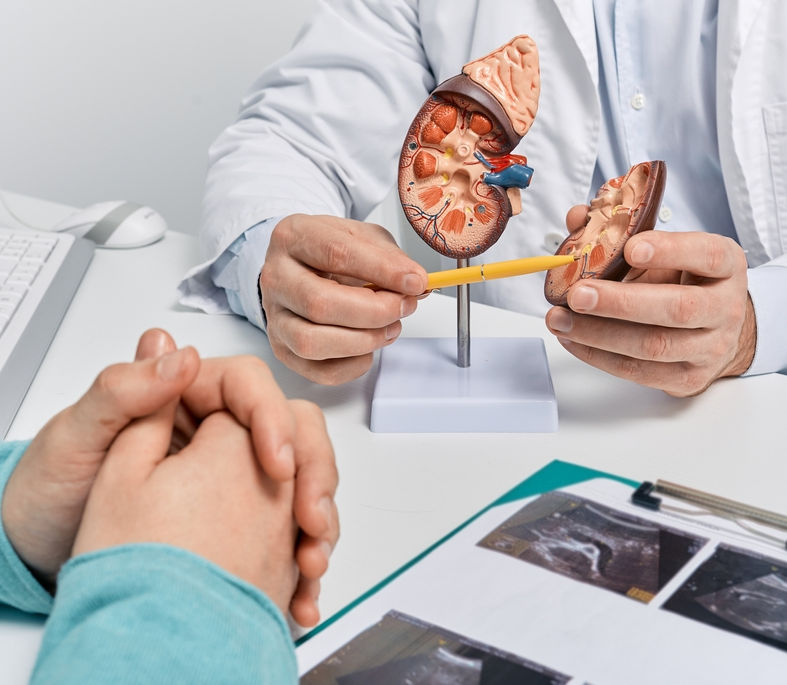 Diabetes and Kidney Health: Simple Steps to Protect Your Kidneys